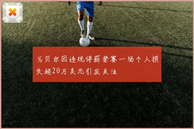 戈贝尔因违规停薪禁赛一场个人损失超20万美元引发关注